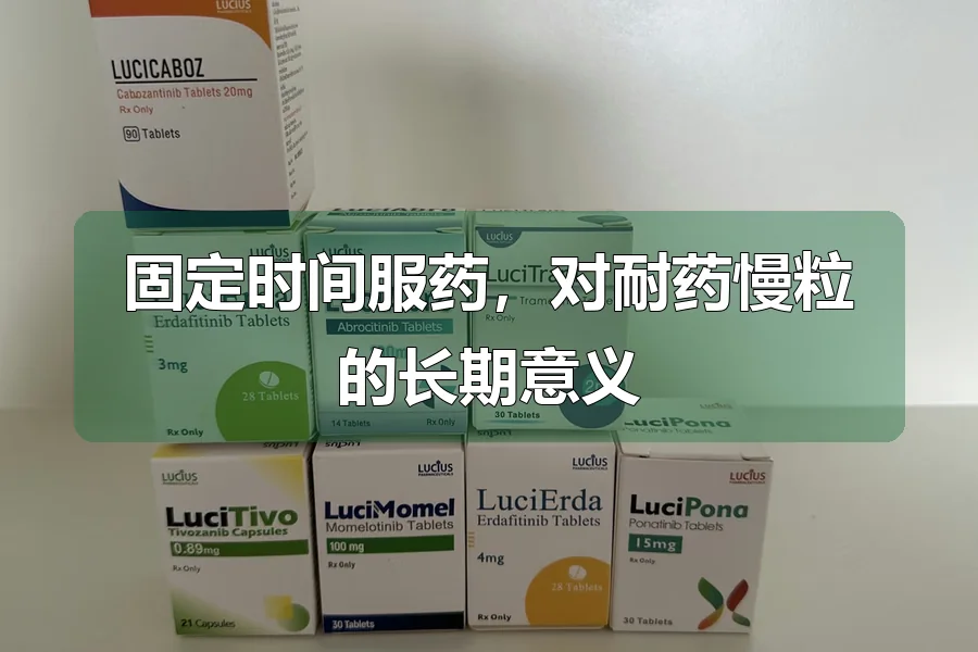 固定时间服药，对耐药慢粒的长期意义