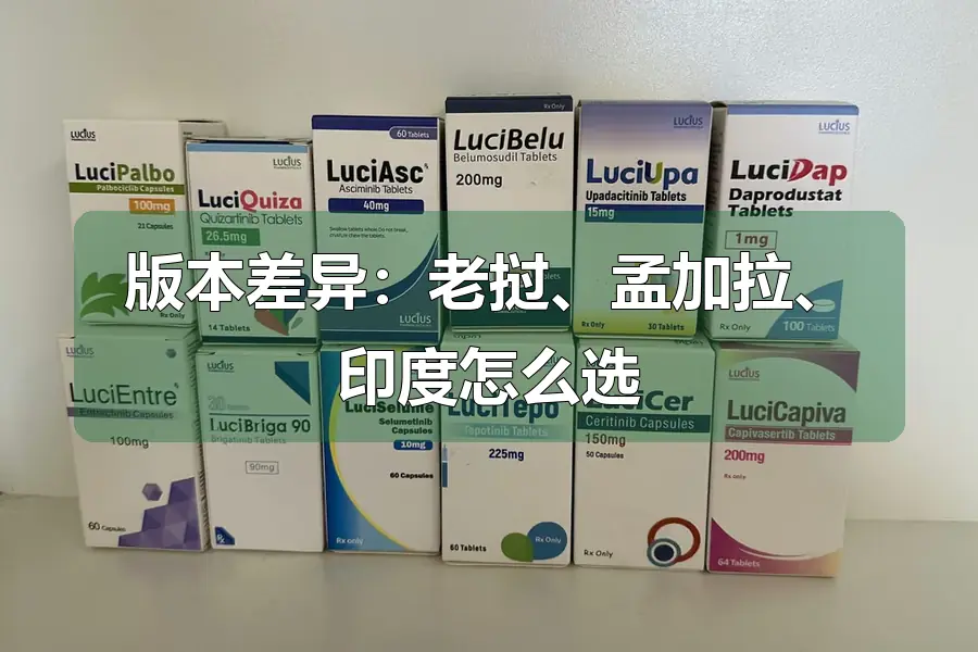 版本差异：老挝、孟加拉、印度怎么选
